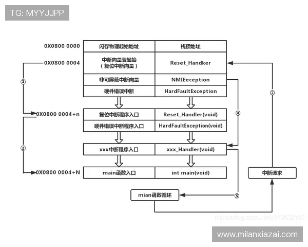 米兰会员群：会员等级划分与升级流程详解