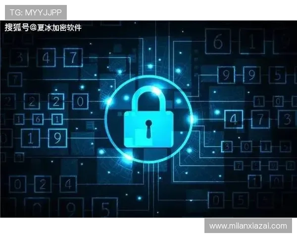 米兰体育app综合下载安全性分析保障你的个人信息安全与隐私保护